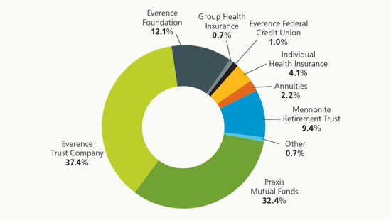 2019 annual report revenue