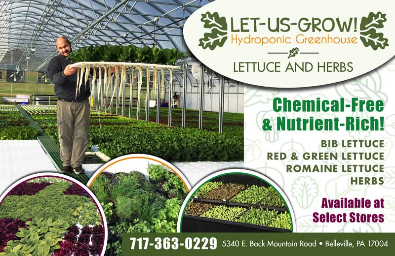 Let-Us-Grow Hydroponic Greenhouse ad