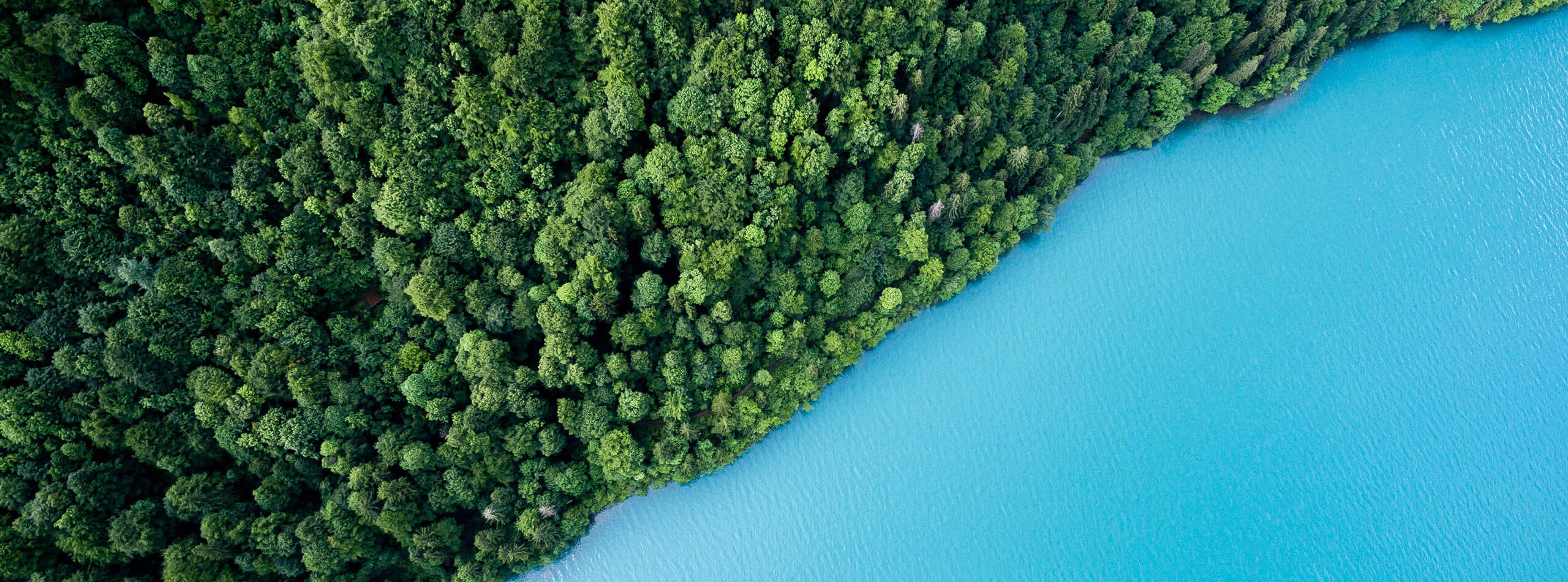 Aerial view of forest and ocean celebrating Earth Day