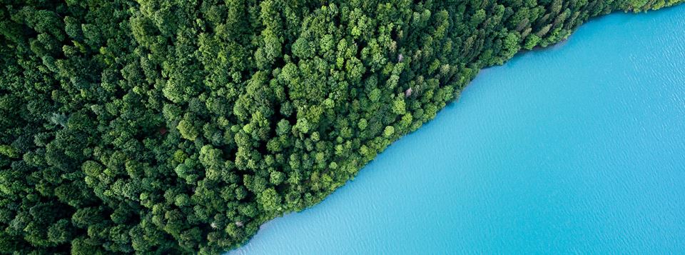 Aerial view of forest and ocean celebrating Earth Day