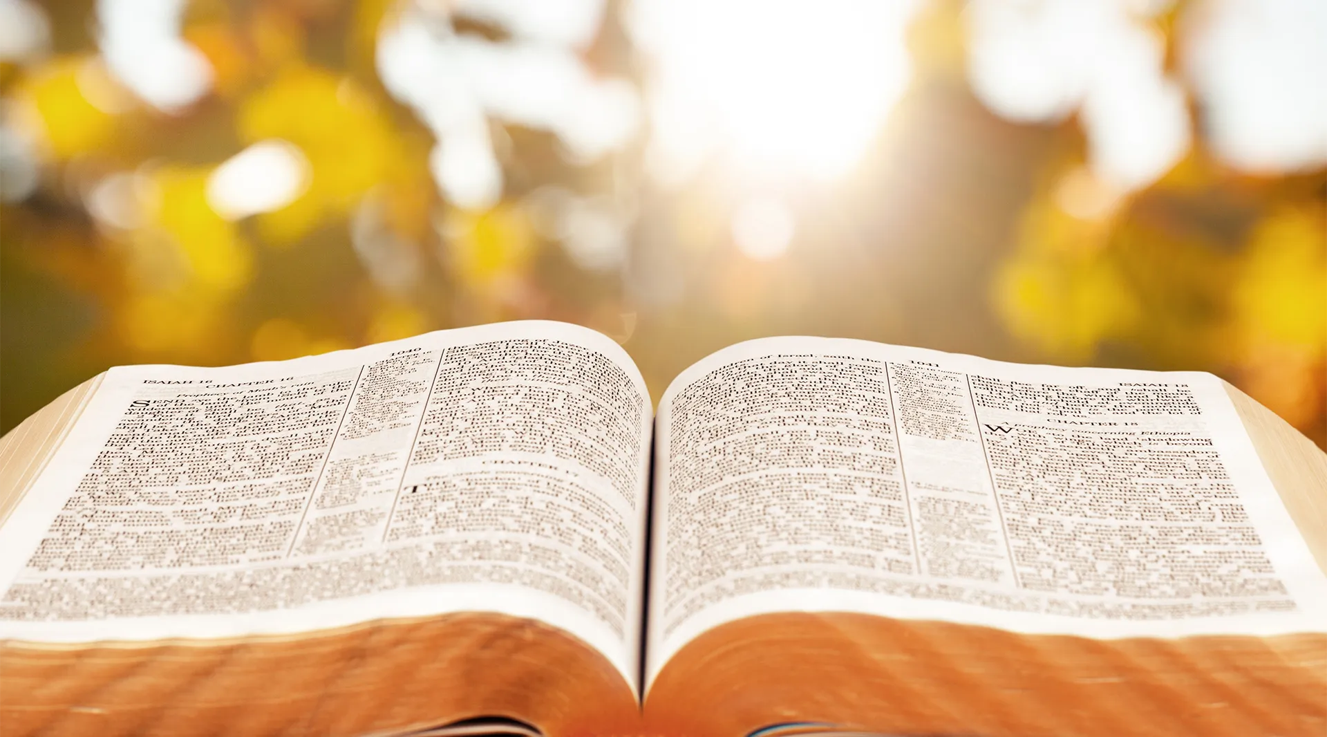 Bible open with a ray of sunshine shining on it.