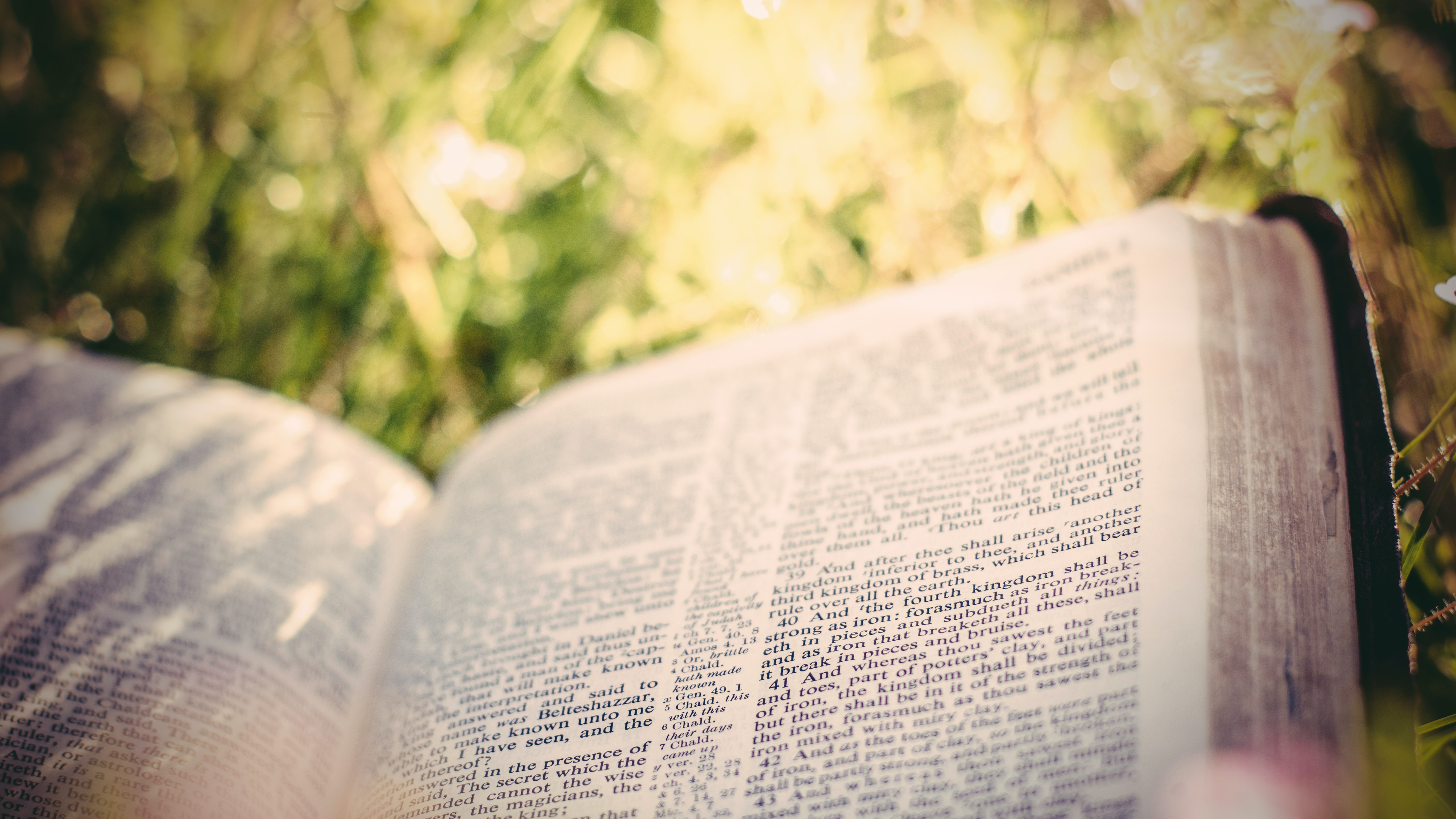 Bible being read in the grass on a sunny day.