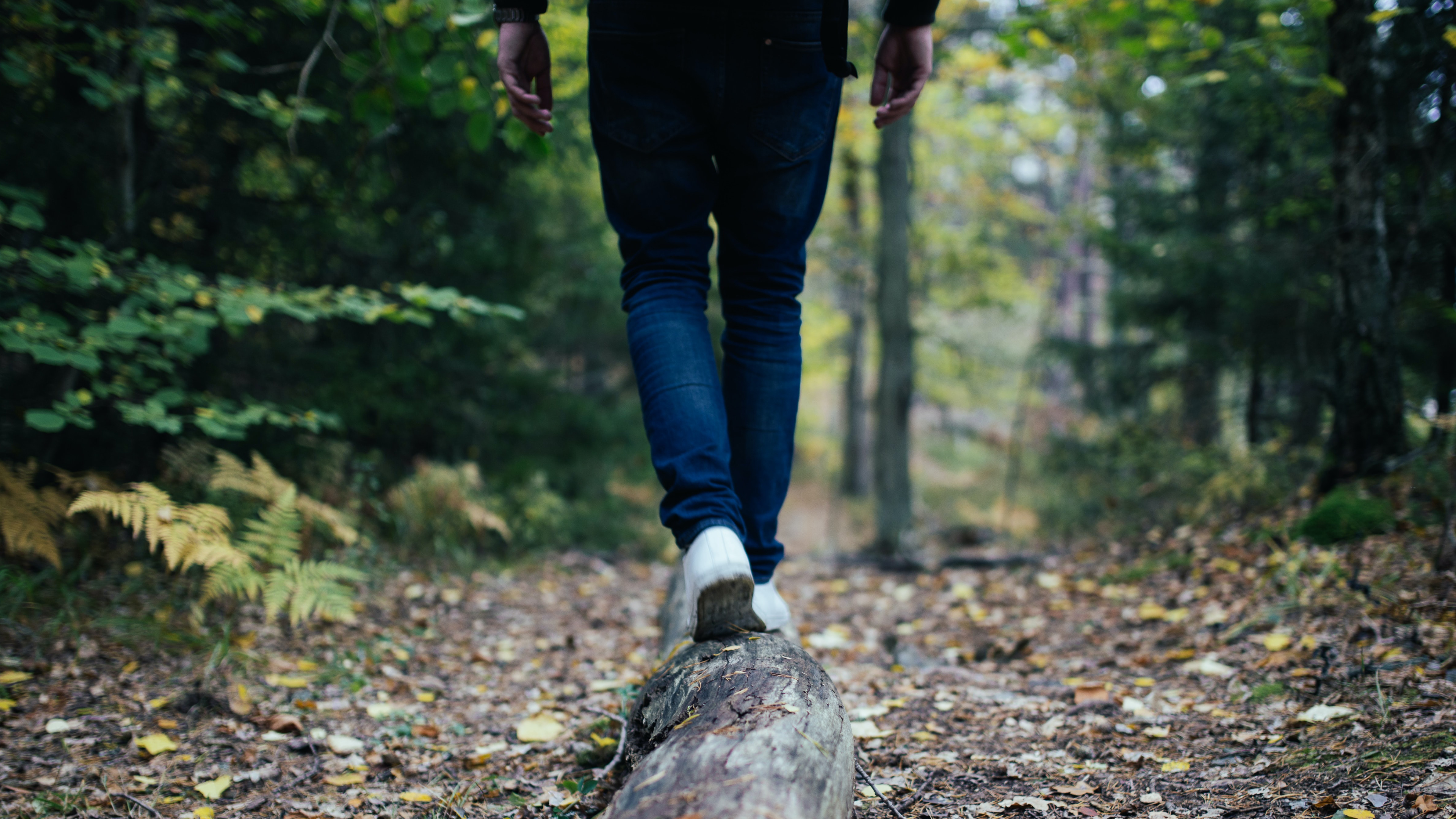 Woman hiking in autumn, walking on a log