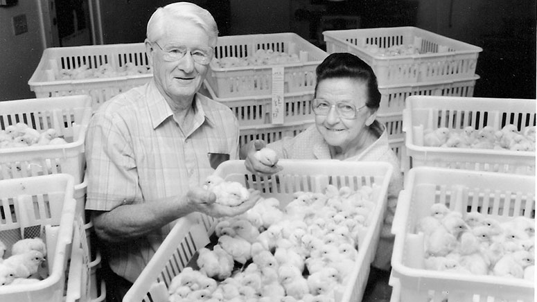 A man and a woman pose for a photo. They are holding a tray full of baby chicks.