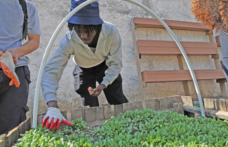 Kids working in garden at Klean Kensington.