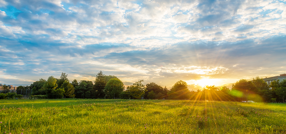 The sun goes down on a partly cloudy day over a field of grass and wildflowers