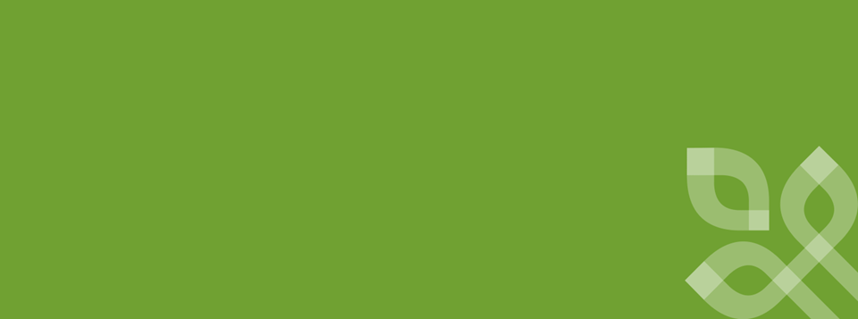 Green color block Everence vine graphic