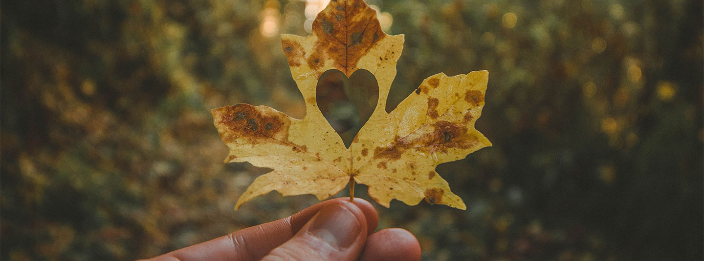 Fall leaf with heart cut out of the middle