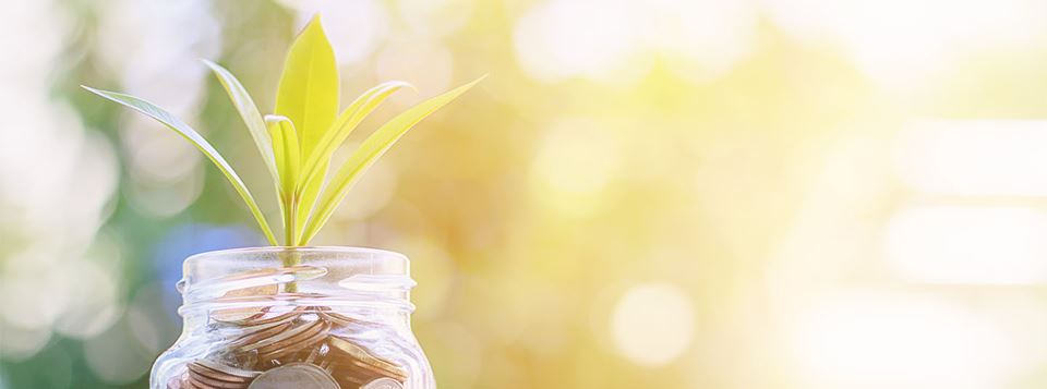 Plant growing out of a glass jar filled with coins