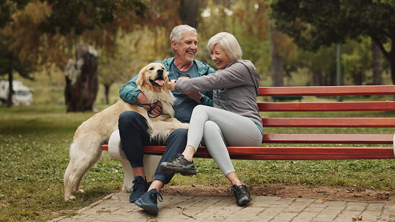 Older couple sits on a park bench petting their golden retriever.