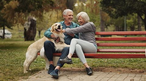 Older couple sits on a park bench petting their golden retriever.