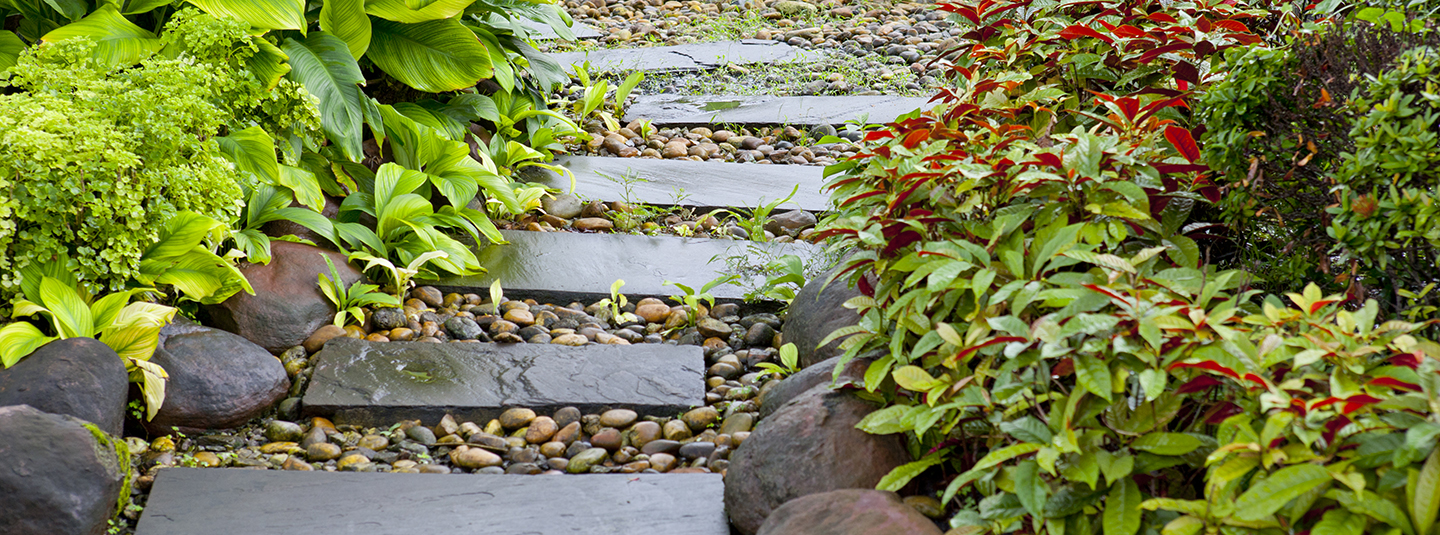 201710223_Harrisonburg-stone-foot-path_1440x535