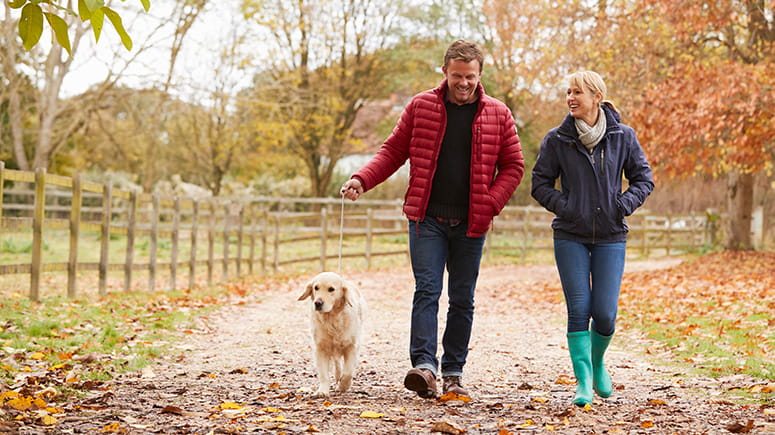 Mature couple on a walk in the fall with their dog.