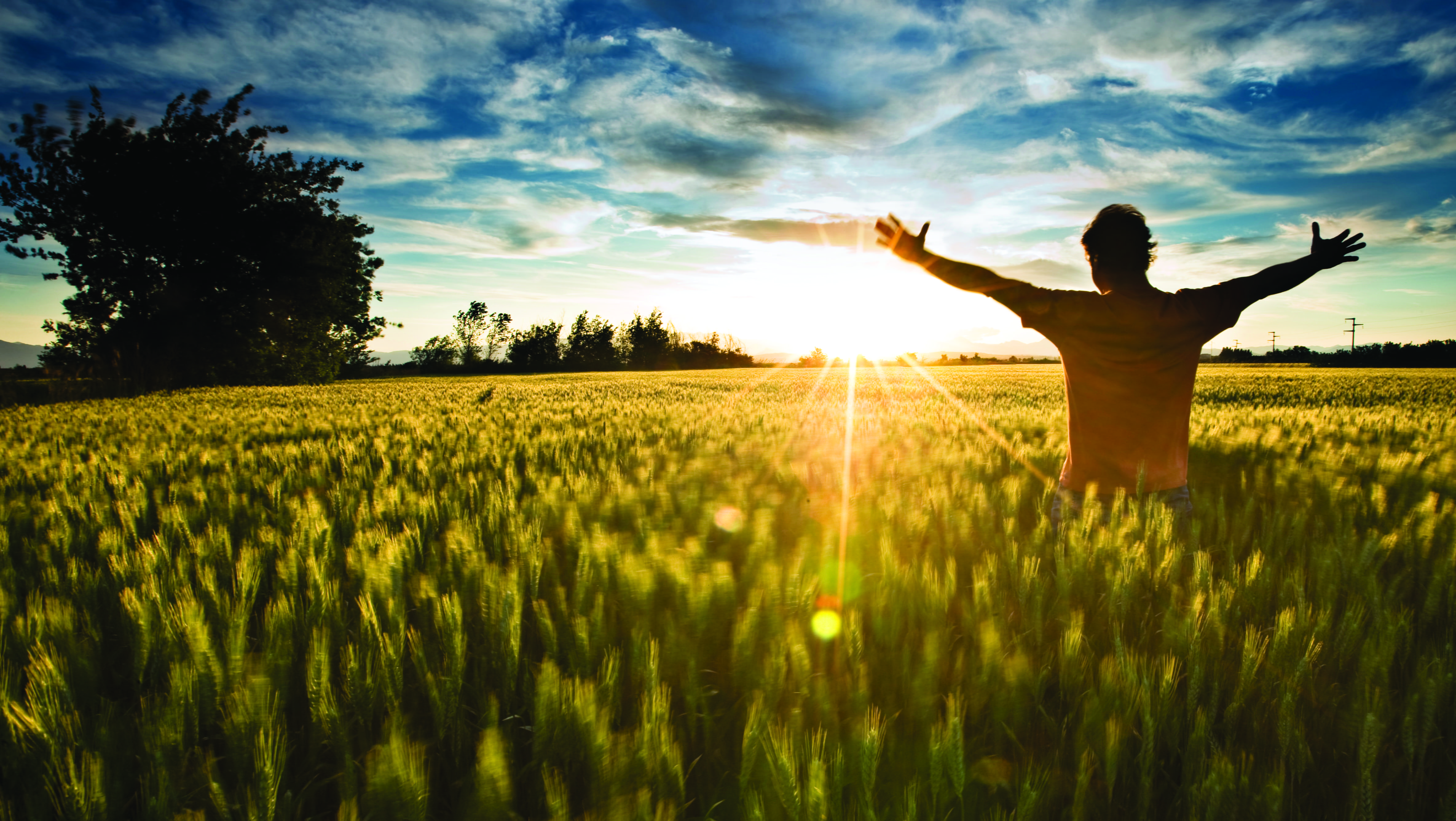 Male in a wheat field