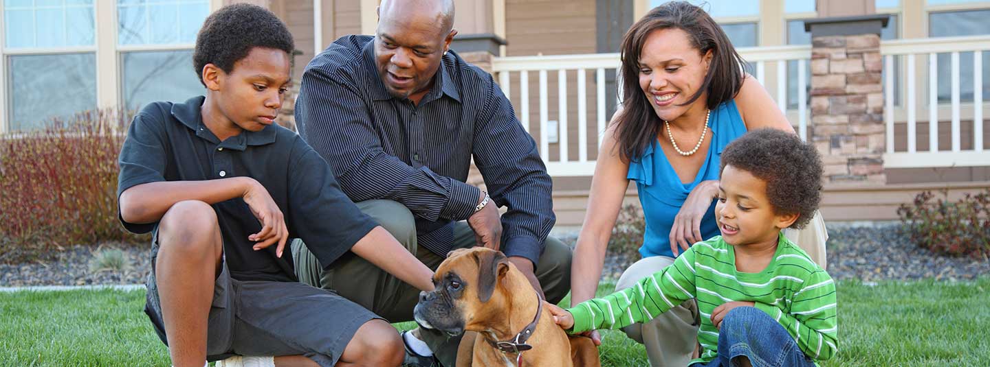 Family of four stroking their dog