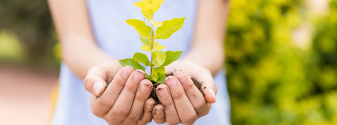 Young girl holding plant