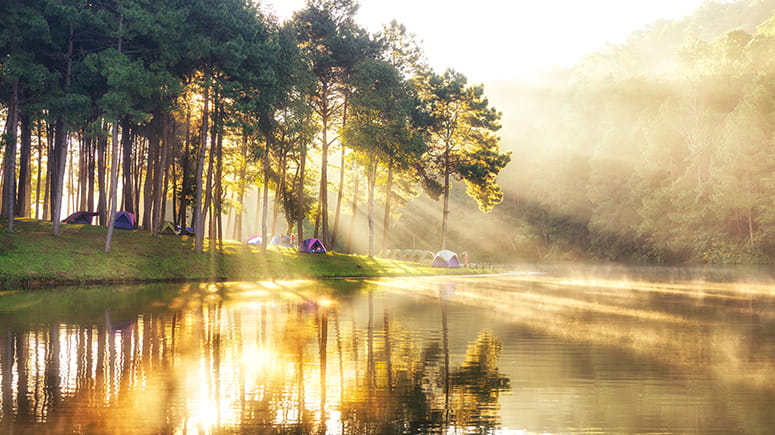 Beautiful sunlit lake with tents along the shore in the woods.