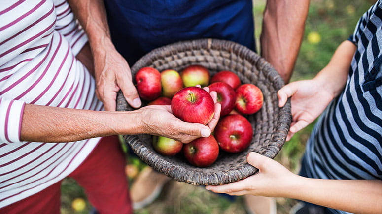 Three people holding a basket of red apples. One hand holds up an individual apple.